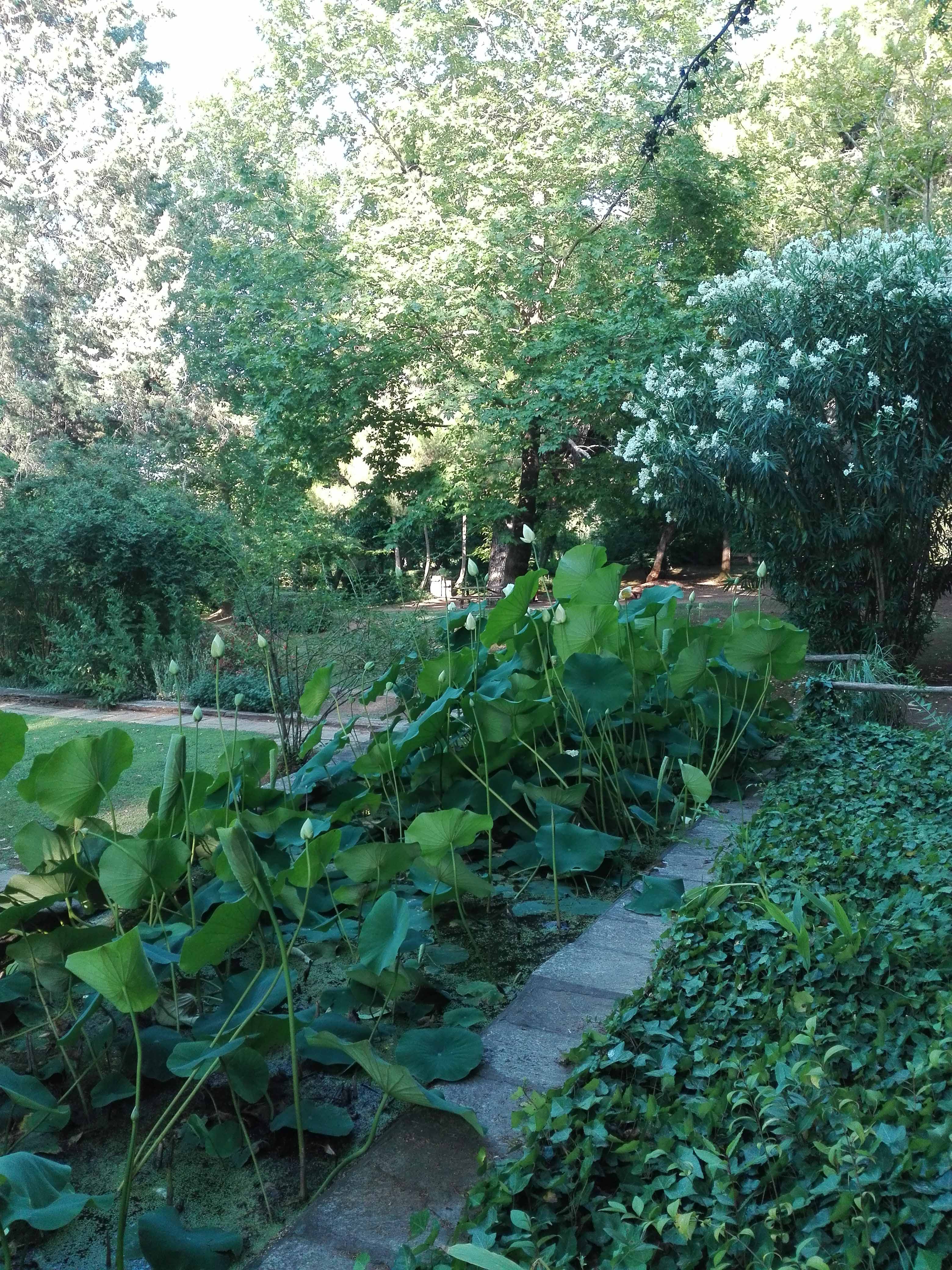 Βοτανικός Κήπος