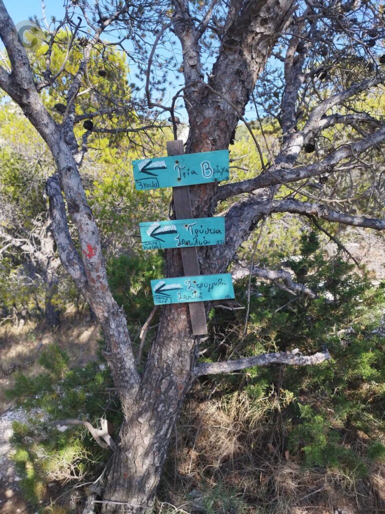 imittos-checkpoint-1