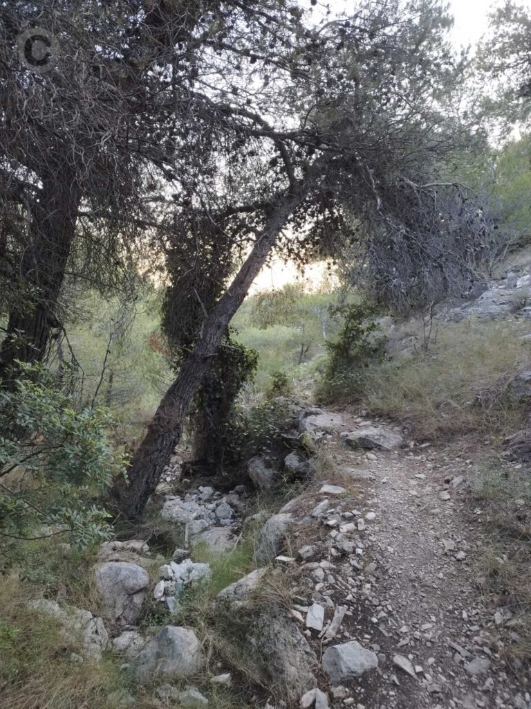 imittos-sfittia-odos-2